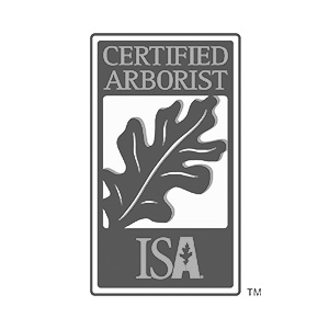 Arborist. Certificari.