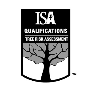 Arborist. Certificari.