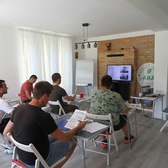 Arborist. Arborist School.