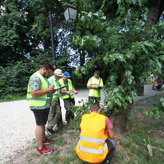 Arborist. Arborist School.