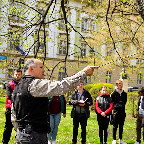 Arborist. Consultanta.