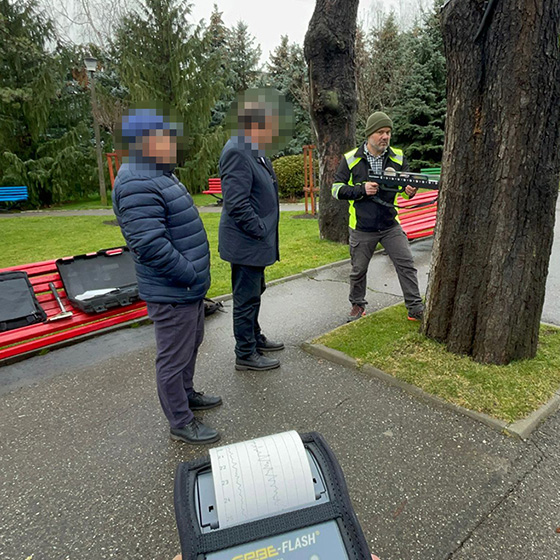 Arborist. Consultanta.