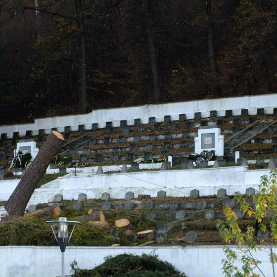 Arborist. Doborari arbori.