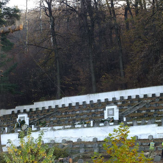 Arborist. Doborari arbori.