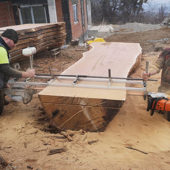 Arborist. Reciclare.