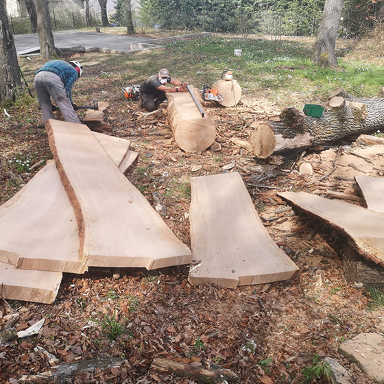 Arborist. Reciclare. Lemn recuperat.