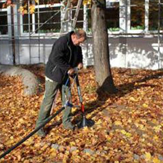 Arborist. Revitalizare arbori.