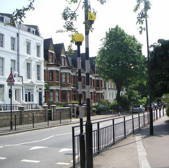 Arborist. Taieri in coroana la arbori arbori.