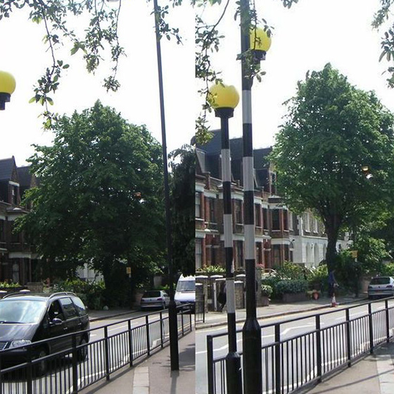 Arborist. Taieri in coroana la arbori arbori.